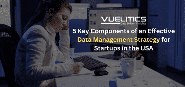 5 Key Components of an Effective Data Management Strategy for Startups in the USA