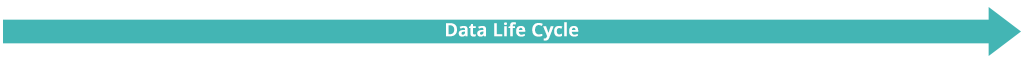 Data Life Cycle